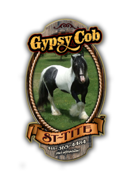 Logo Gypsycob St-Tite